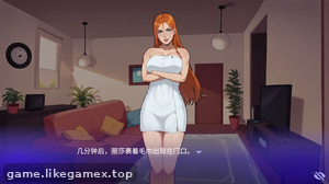 预览图4